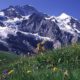 Jungfrau Mountains