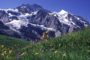Jungfrau Mountains