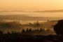 The Misty Valley