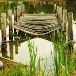 ult_gallery_5